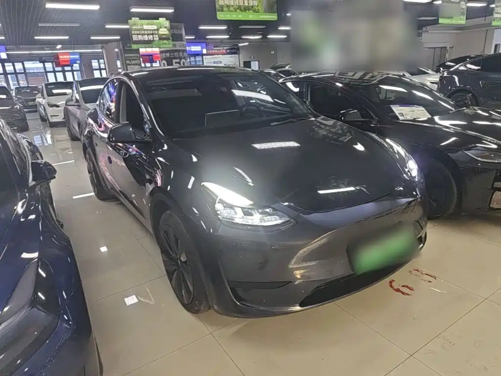Tesla Model Y — миниатюра 4