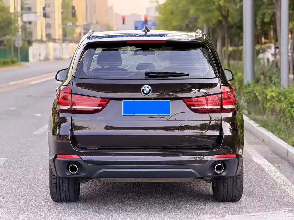 BMW X5 (Import) — миниатюра 5