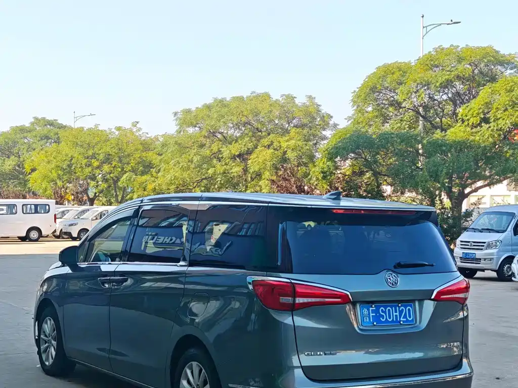 Buick GL8 — миниатюра 4