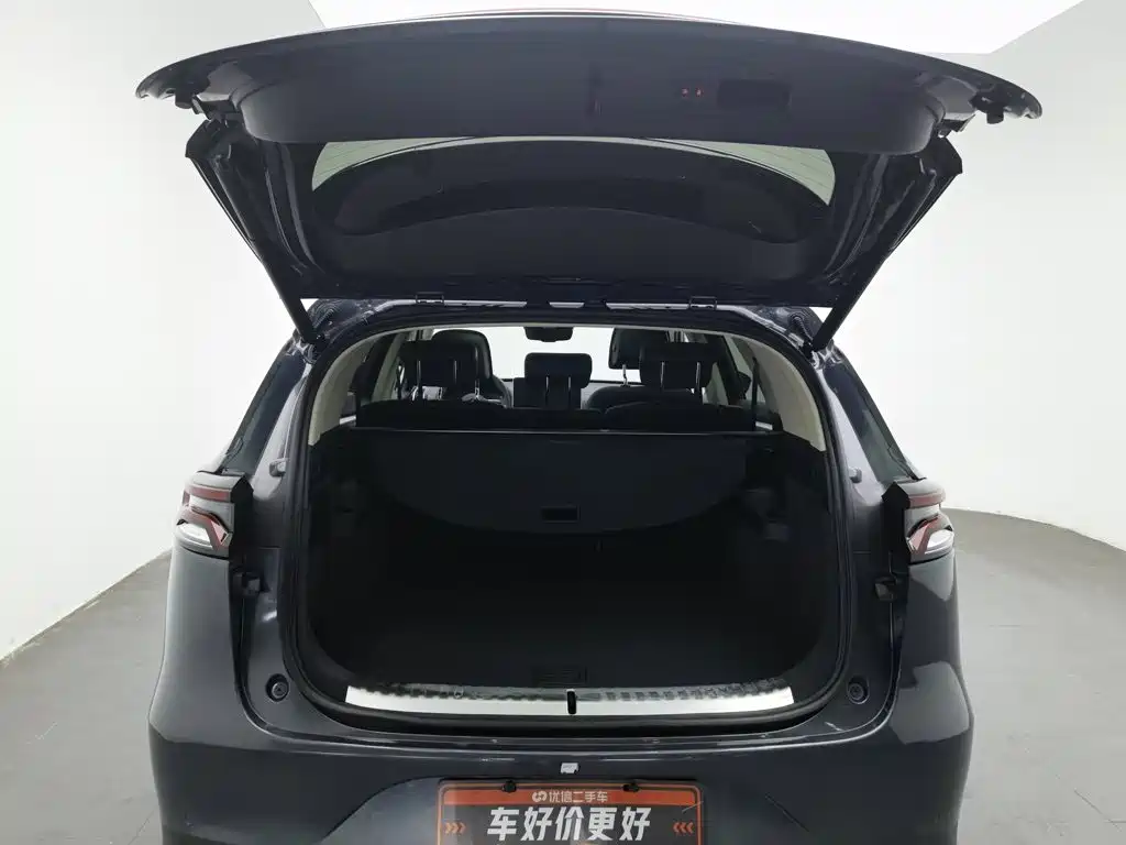 BYD Tang New Energy — миниатюра 16