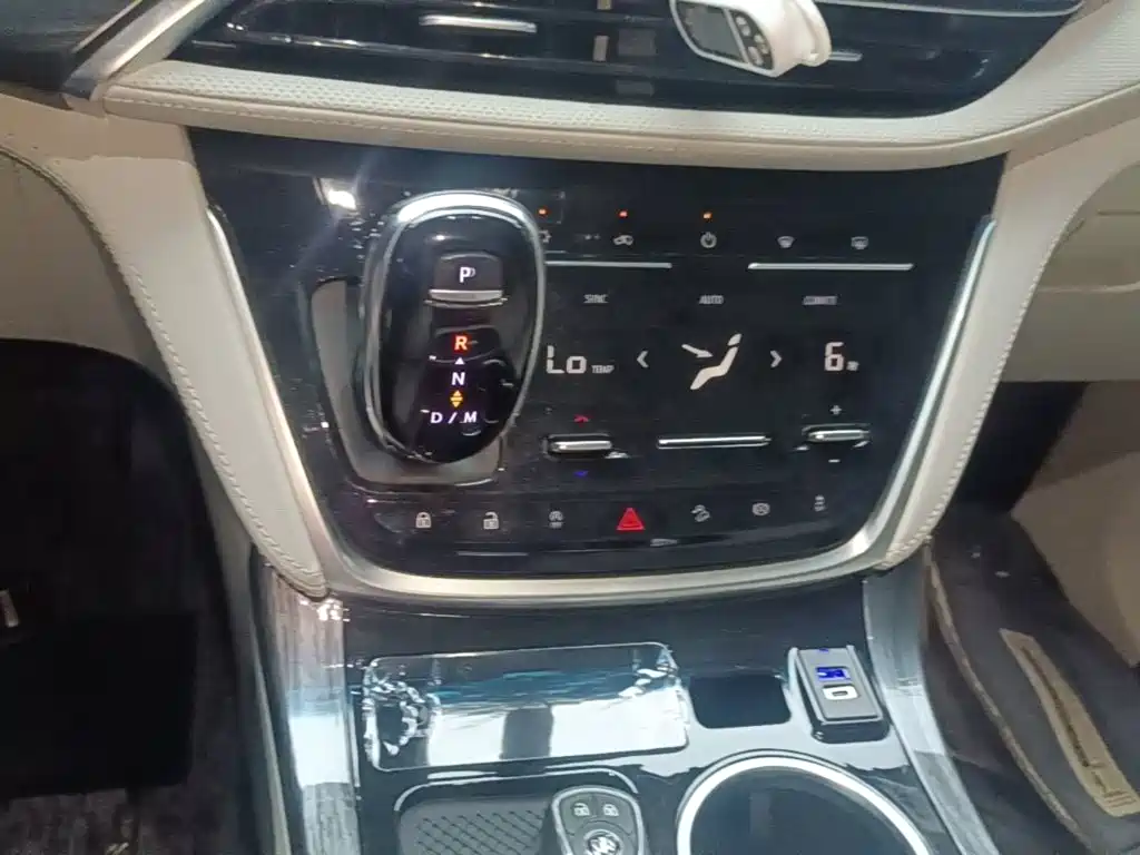 Buick GL8 — миниатюра 14