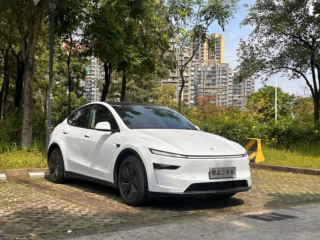 Tesla Model Y — фотографии объявления, Фото 4