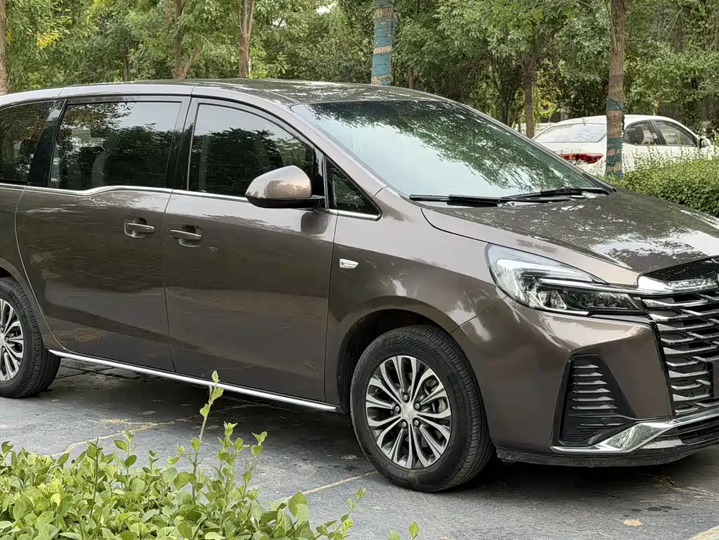Buick GL8 — миниатюра 3