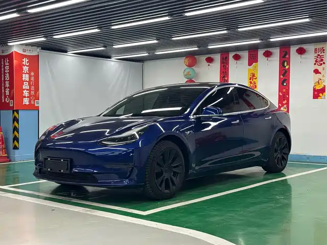 TESLA MODEL 3 2019