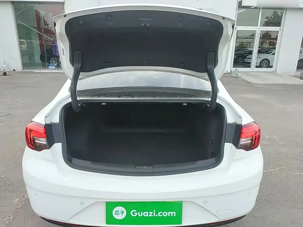 Buick Regal — миниатюра 19