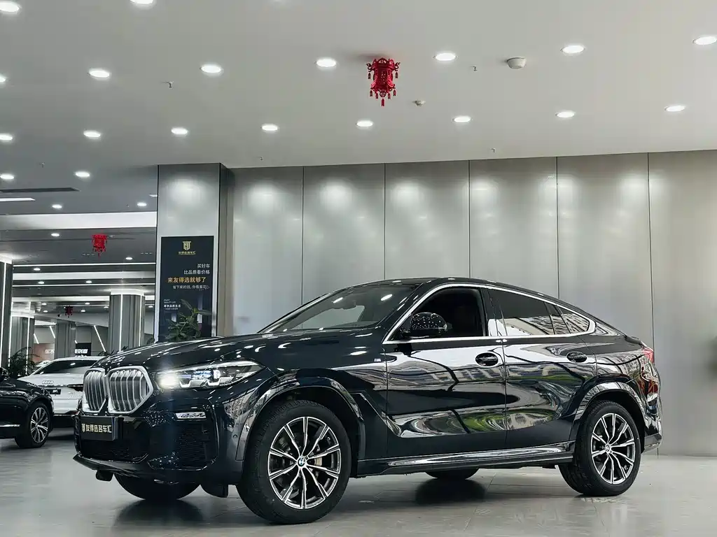 BMW X6 2021