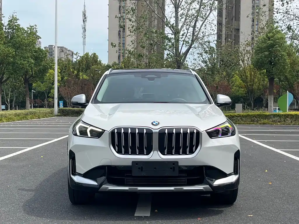 BMW X1 — миниатюра 2