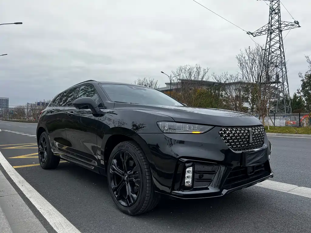 WEI PAI WEI BRAND VV7