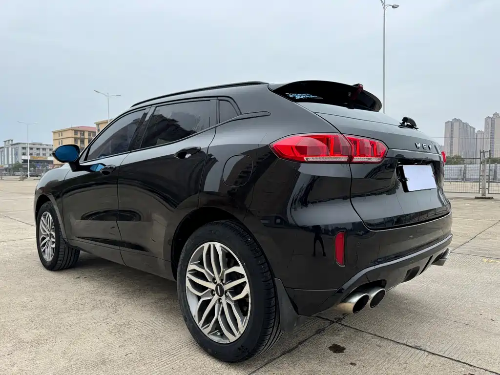 WEI PAI WEI BRAND VV5