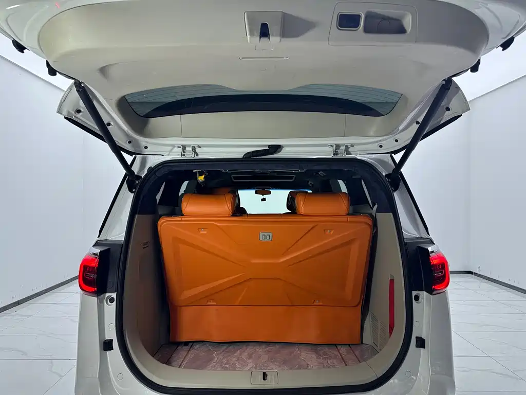 Buick GL8 2023 ES Comfort