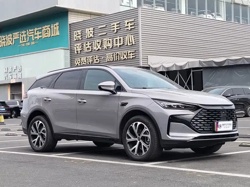BYD Tang New Energy — миниатюра 3