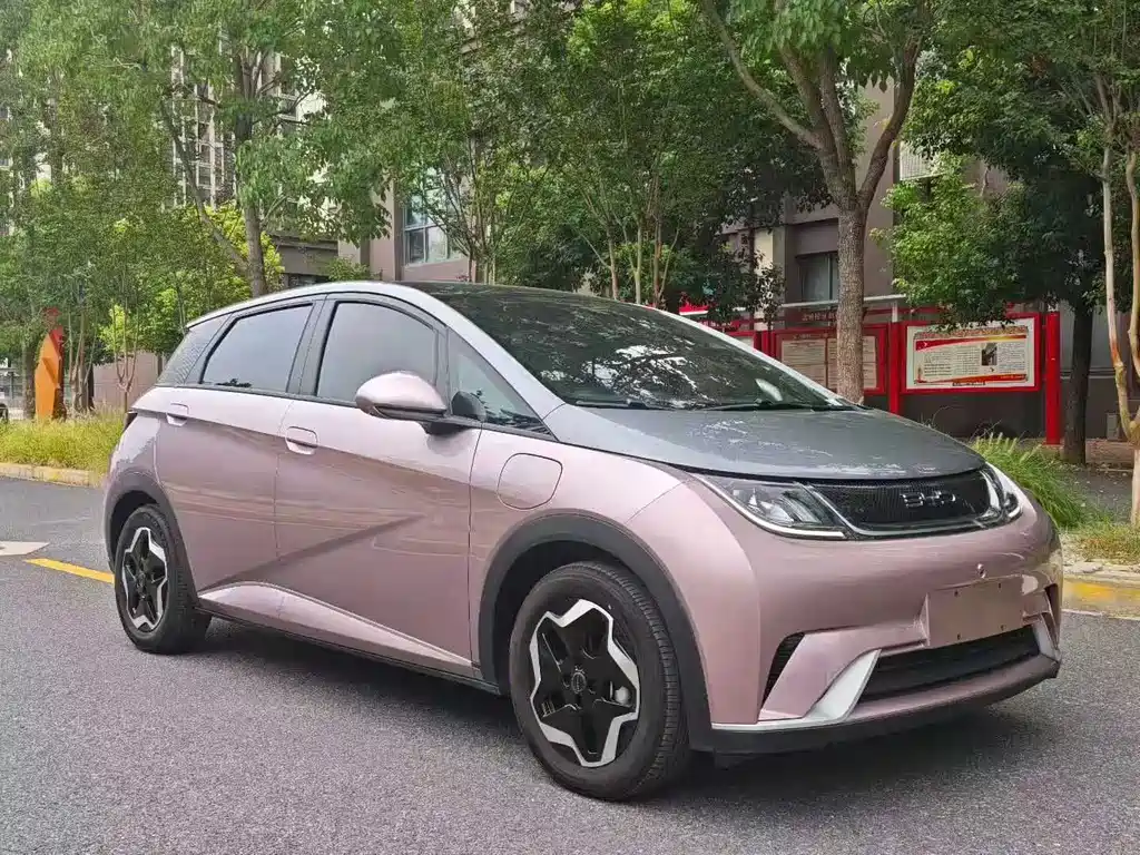 BYD Dolphin 2021 405km Fashion