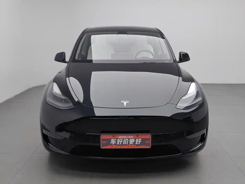 Tesla Model Y — миниатюра 3