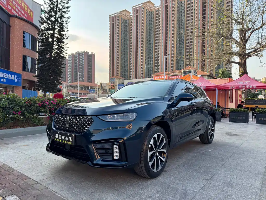 Wey Wey VV7 2021