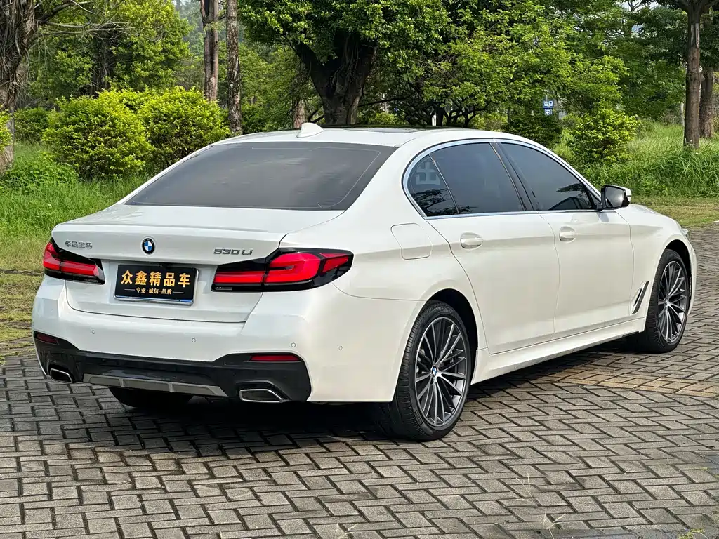 BMW 5 Series — миниатюра 13