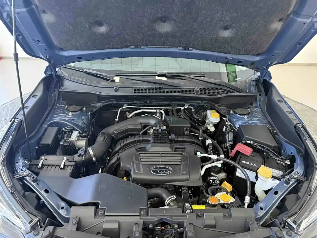 Subaru Forester — миниатюра 21