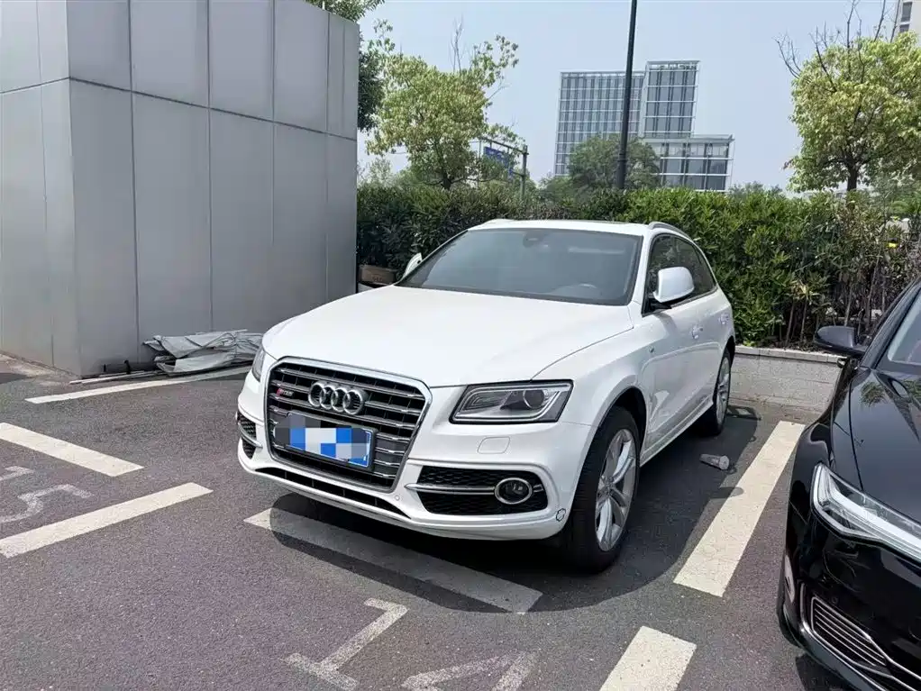 Audi SQ5 2015