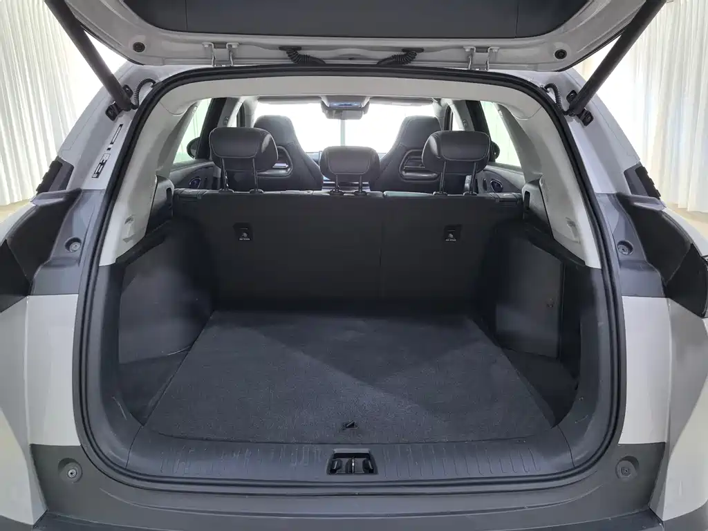 BYD Sealion 07 DM-i — миниатюра 15