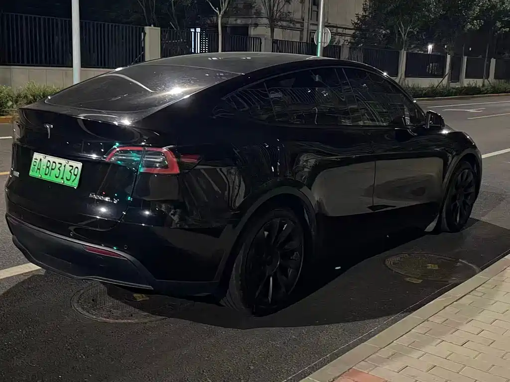 Tesla Model Y — миниатюра 9