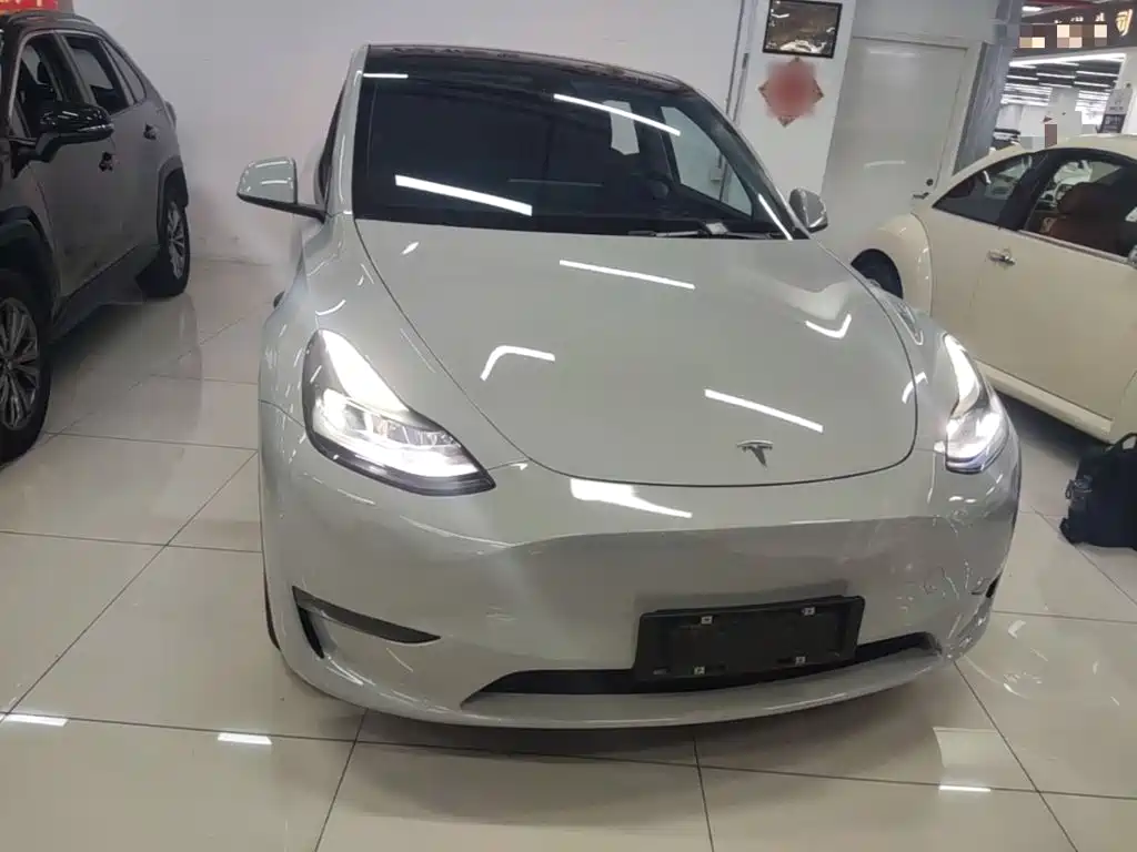 Tesla Model Y — миниатюра 3