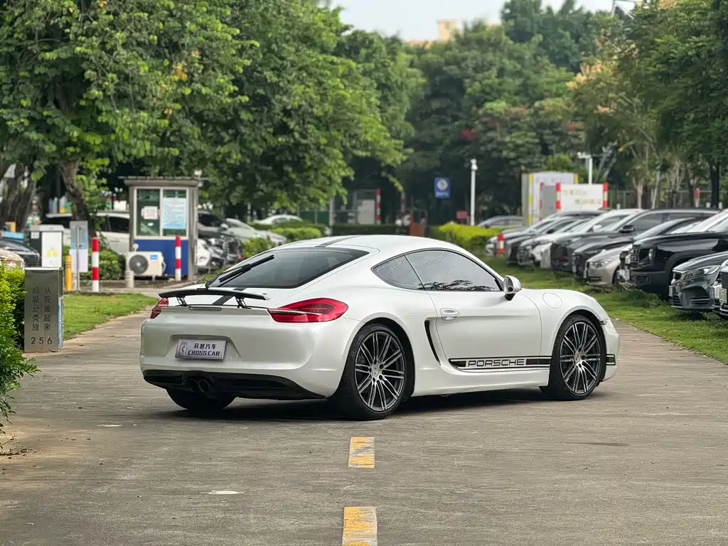 Porsche Cayman — миниатюра 5