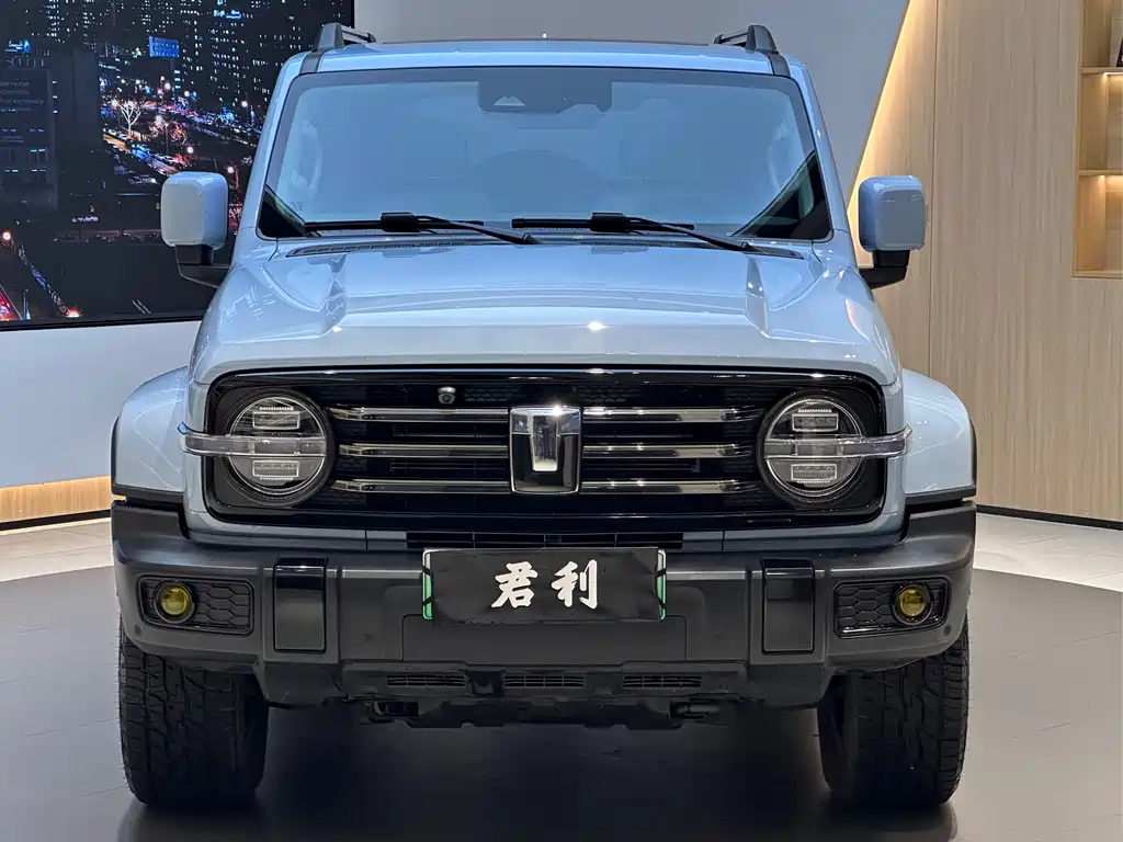 TANK TANK 300 NEW ENERGY