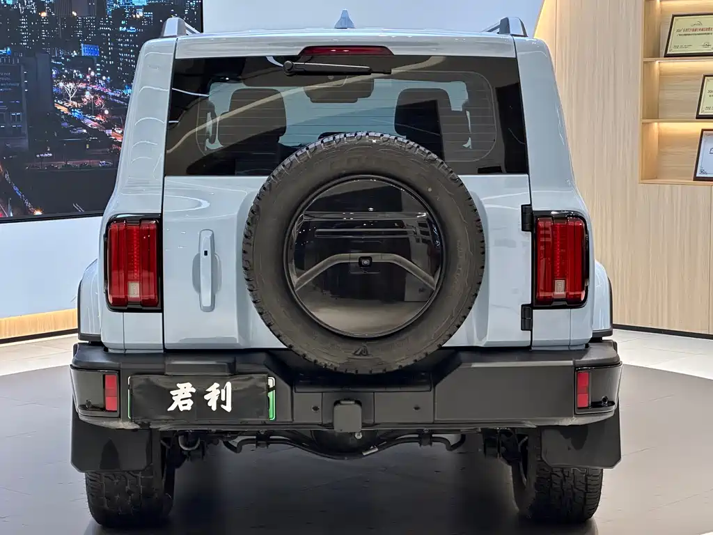 TANK TANK 300 NEW ENERGY