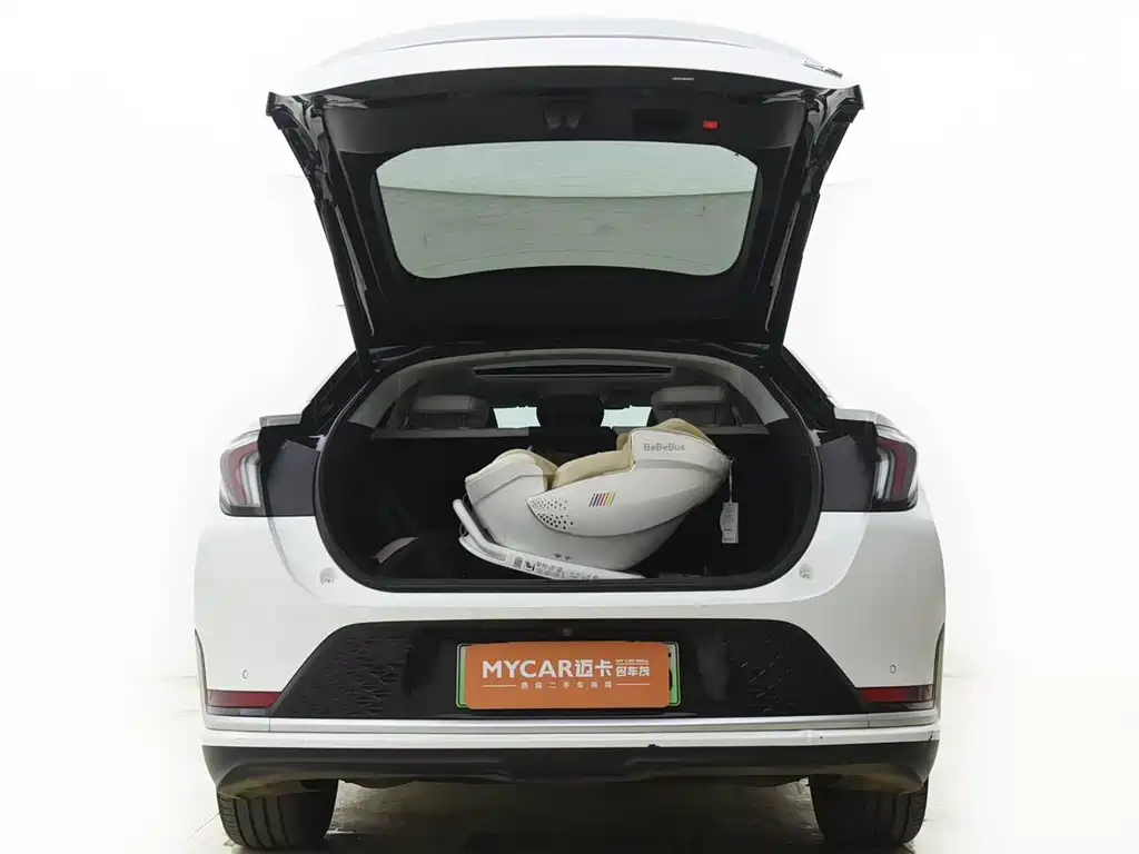 ARCFOX EXTREME FOX POLAR FOX ALPHA S