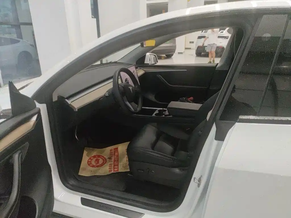 Tesla Model Y — миниатюра 6