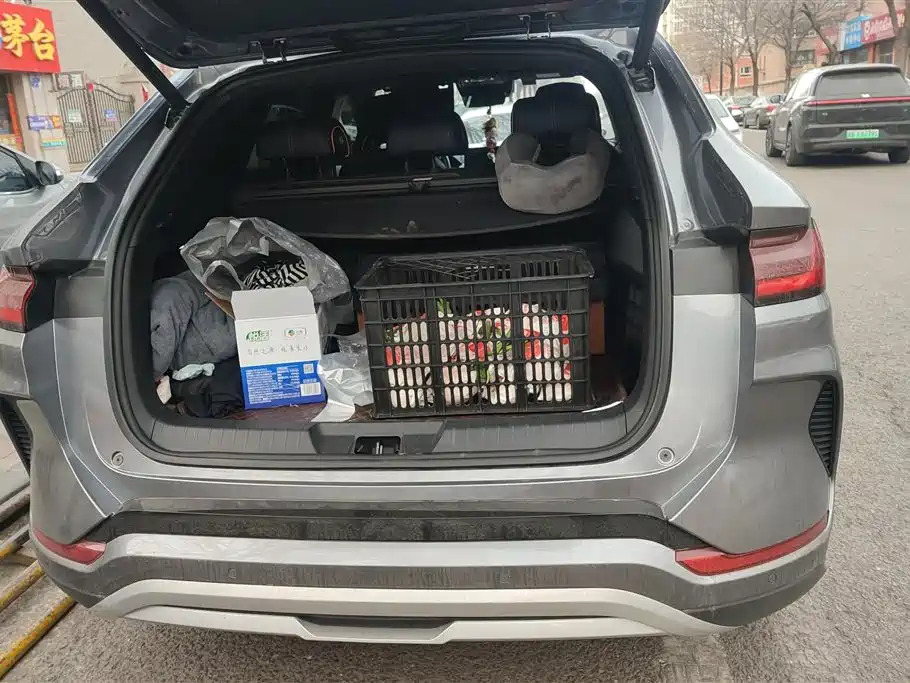 BYD SONGJIANG NEW ENERGY