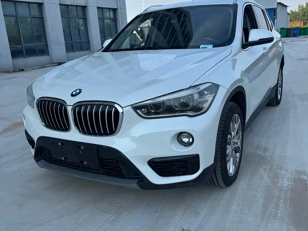 BMW X1 2018 sDrive20Li Lead