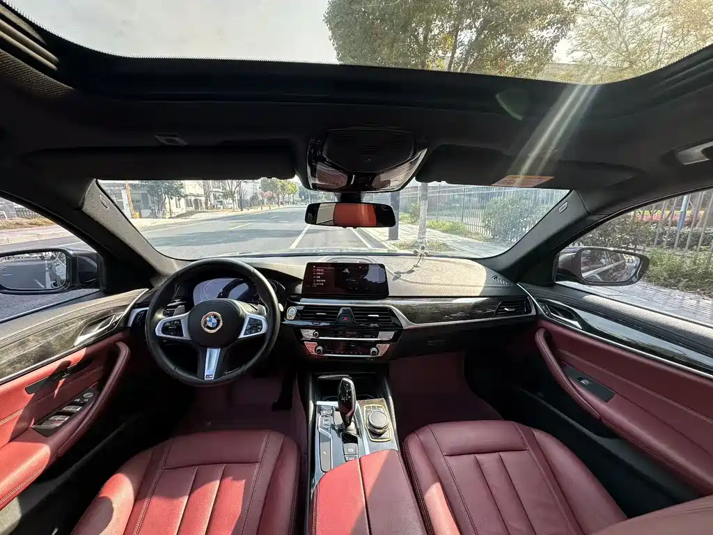BMW 5 Series 5 2020 530Li xDrive M Sport