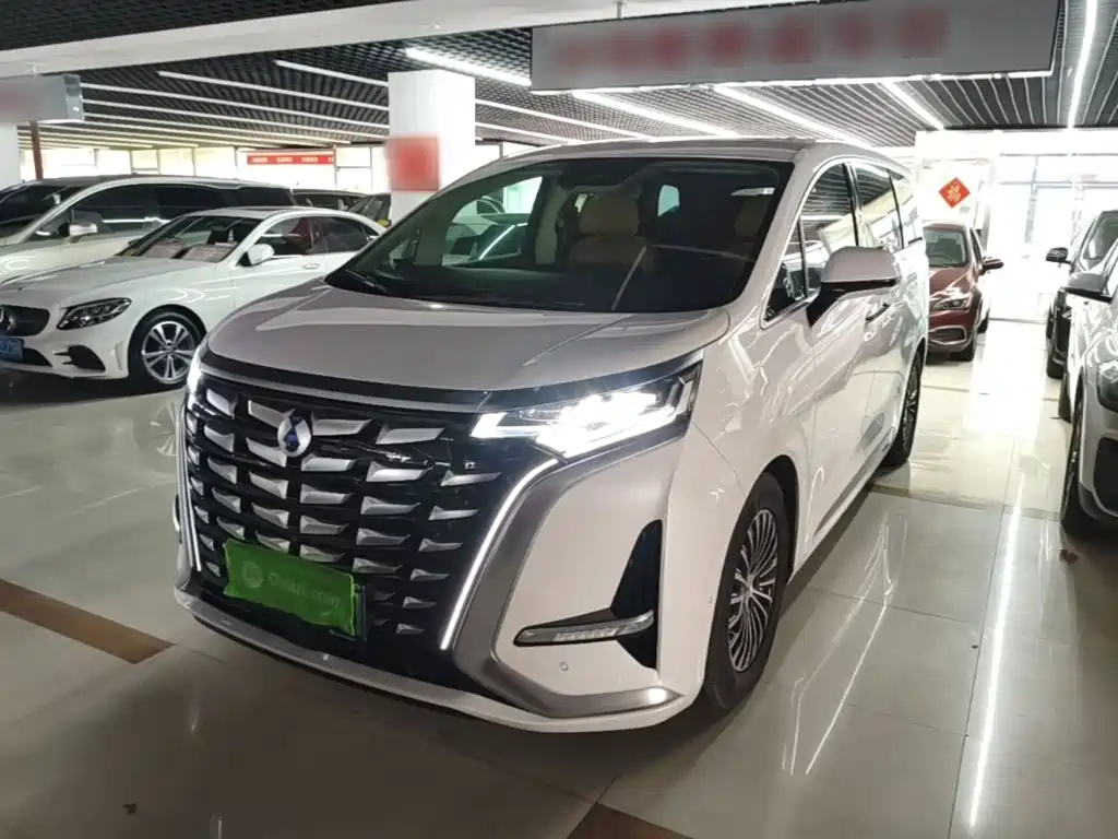 Denza Denza D9