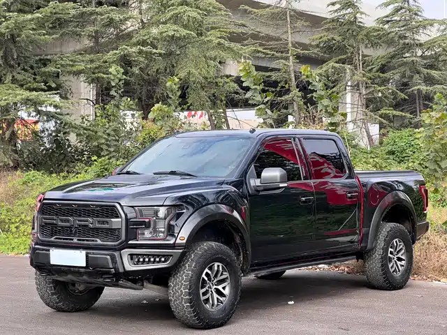 FORD F 150 RAPTOR 2019
