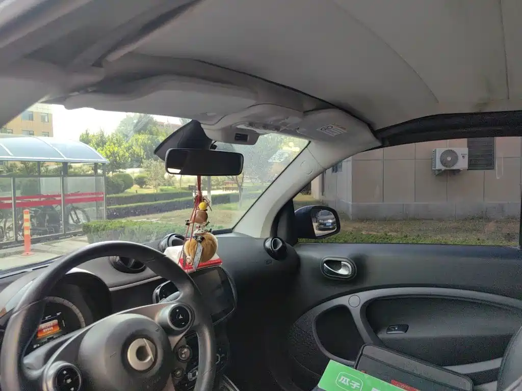 smart Smart Fortwo — миниатюра 14
