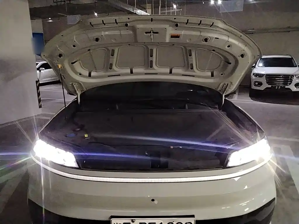 Hyundai EO — миниатюра 20