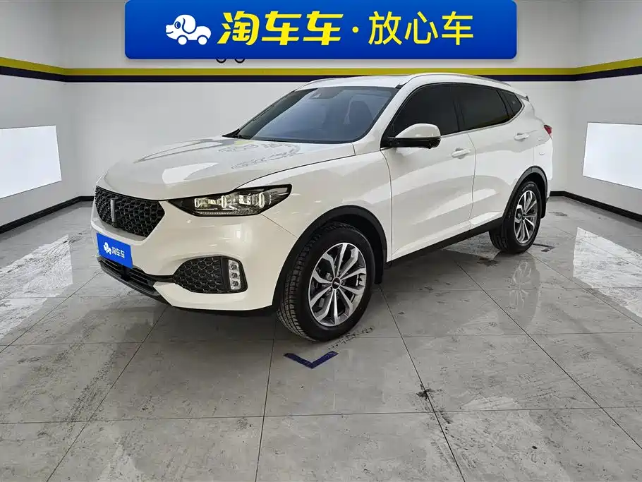 WEI PAI WEI BRAND VV6