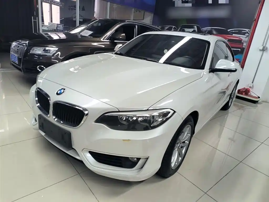 BMW 2 Series (Import) 2017