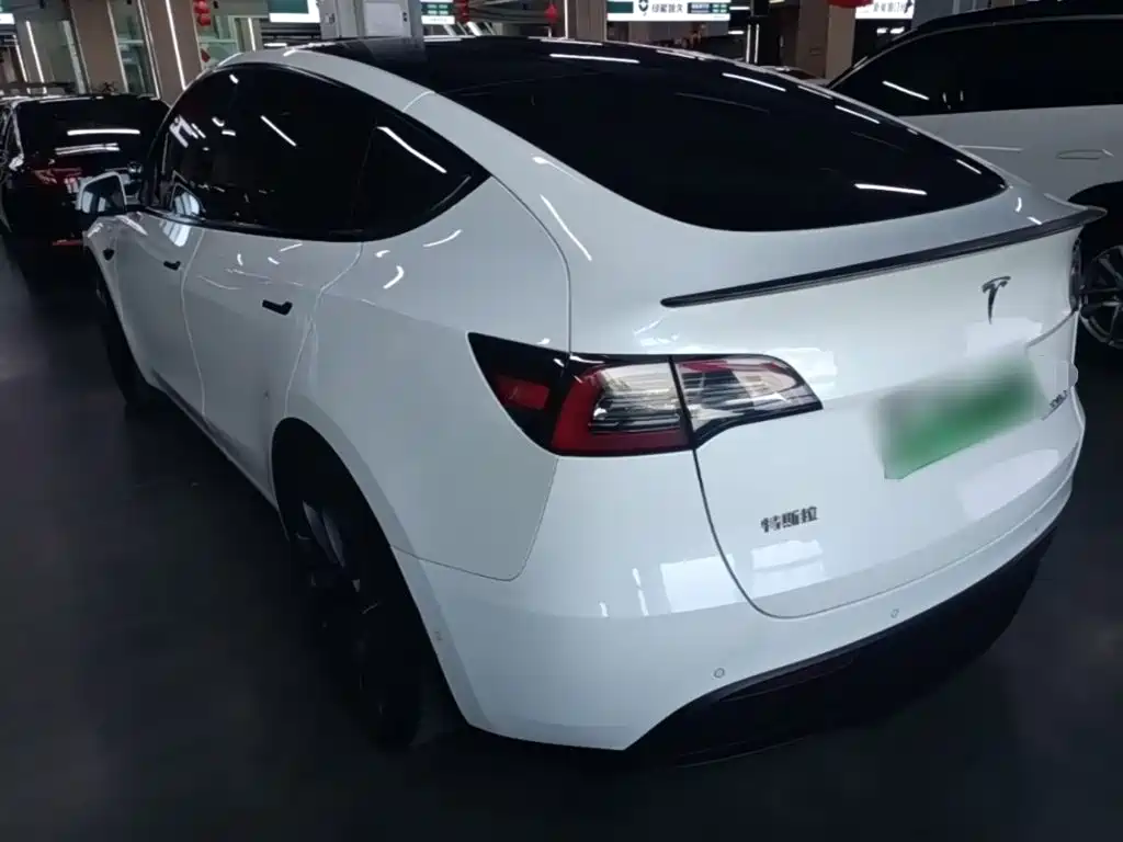 Tesla Model Y — миниатюра 5