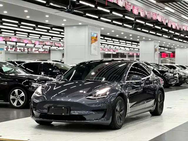 TESLA MODEL 3 2021