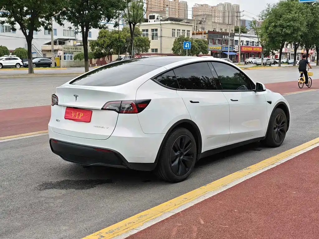 Tesla Model Y — миниатюра 6