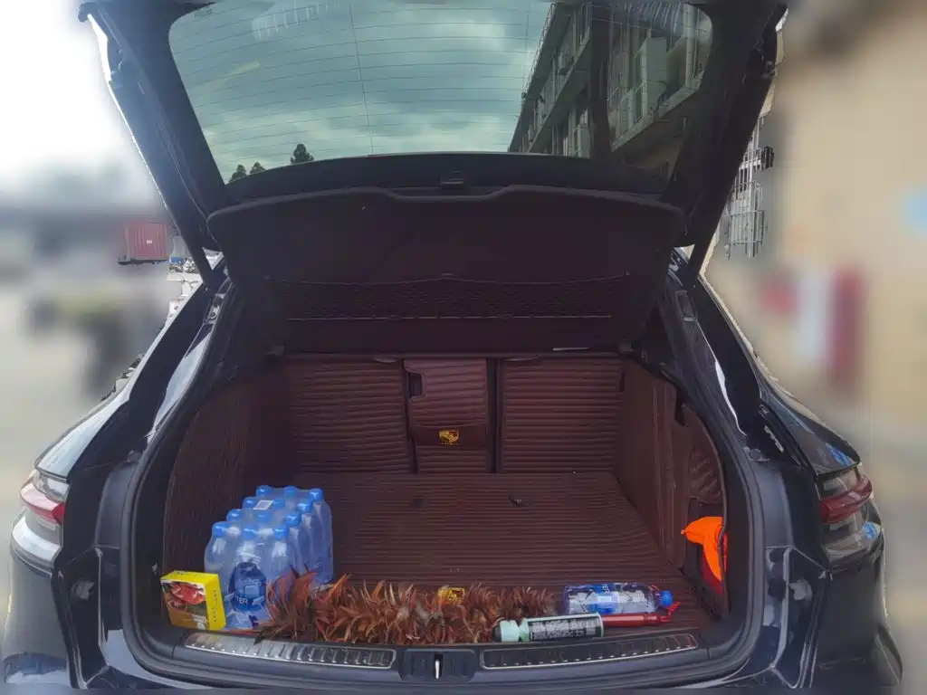 Porsche Macan — миниатюра 20