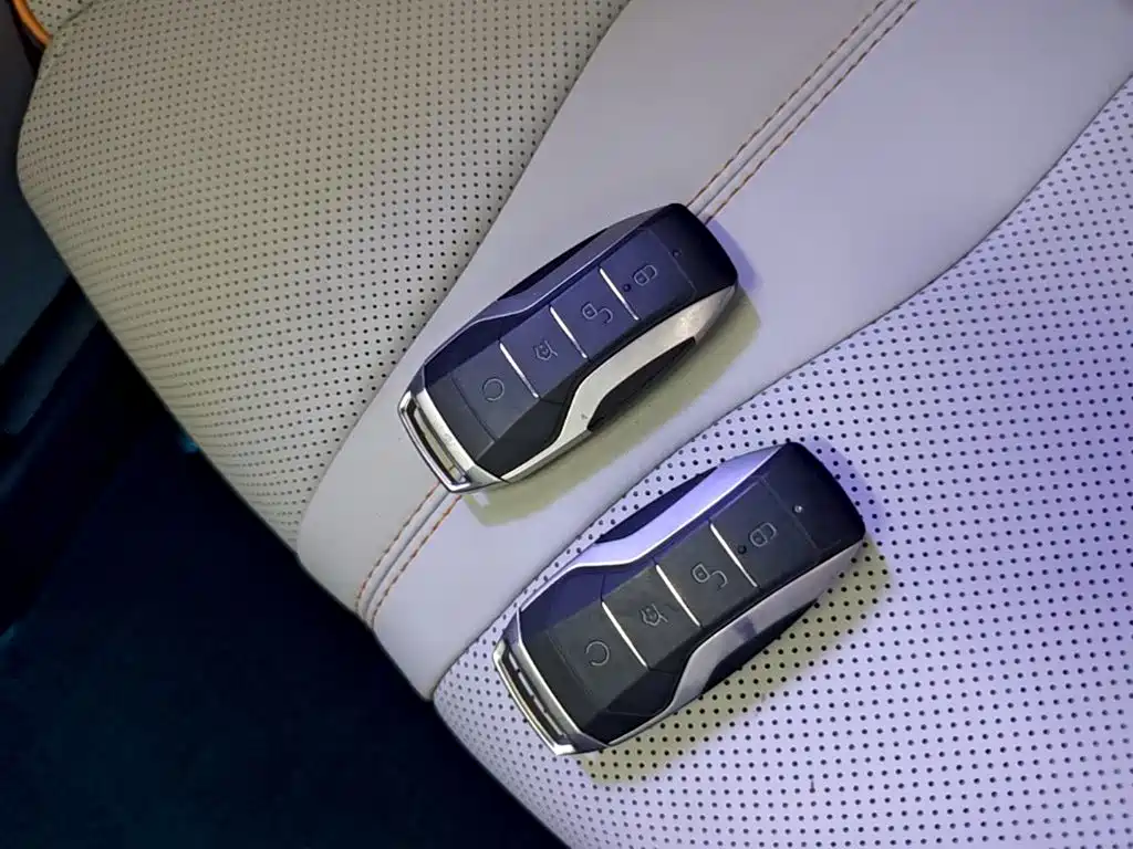 BYD PLUS New Energy — миниатюра 9