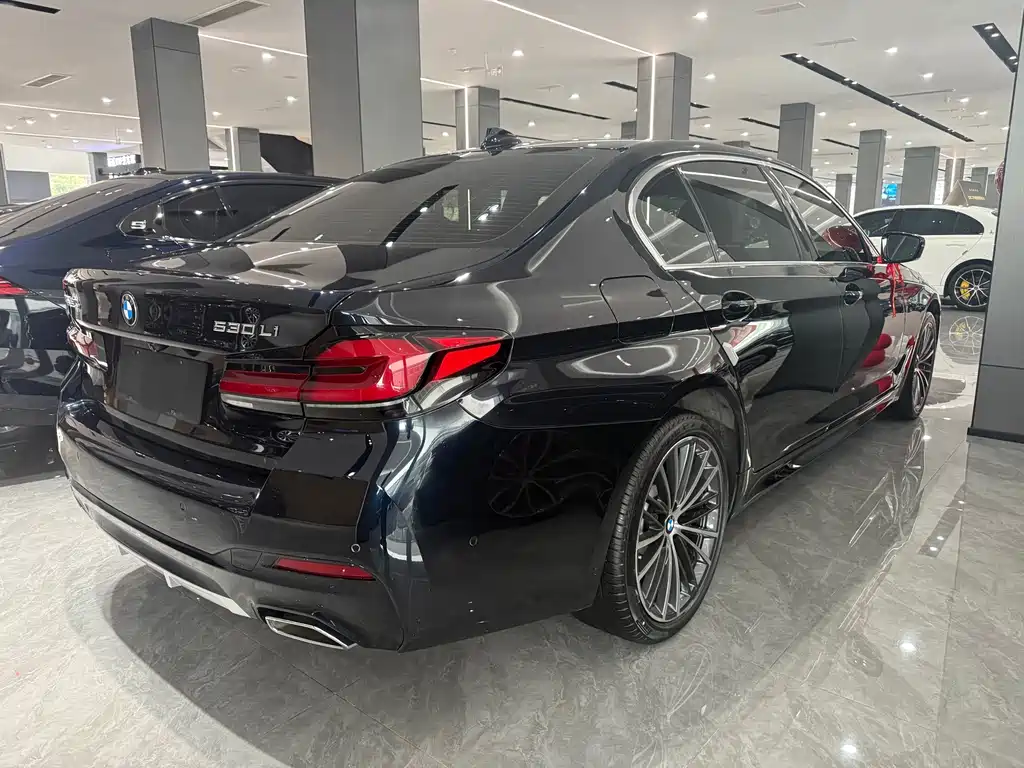 BMW 5 Series — миниатюра 7