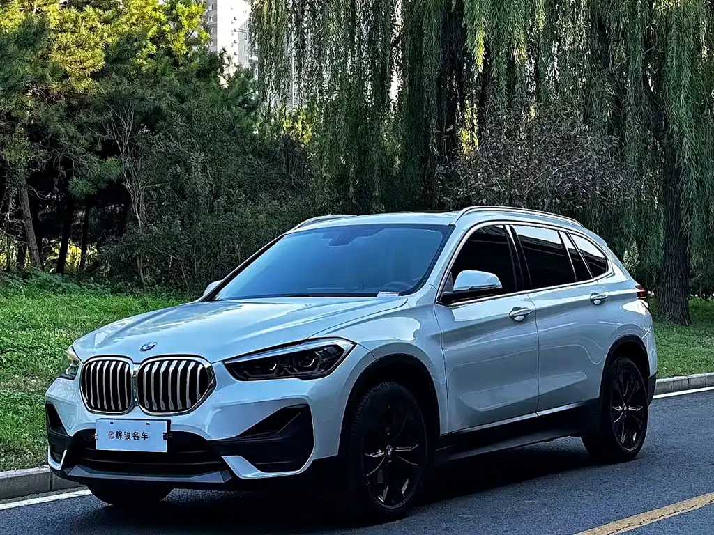 BMW X1 — миниатюра 2