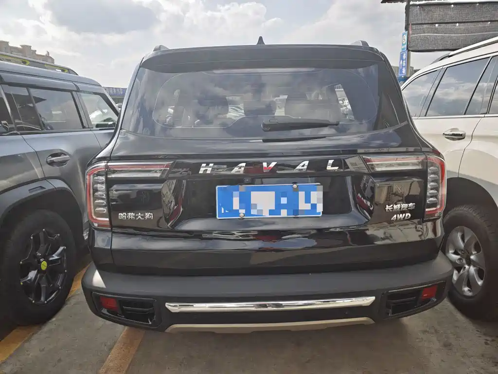 HAVAL BIG DOG