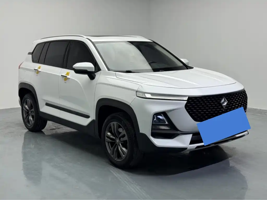 BAOJUN RS 5