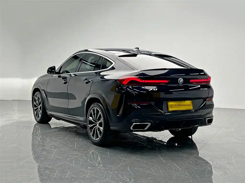 BMW X6 2021 xDrive30i M Sport