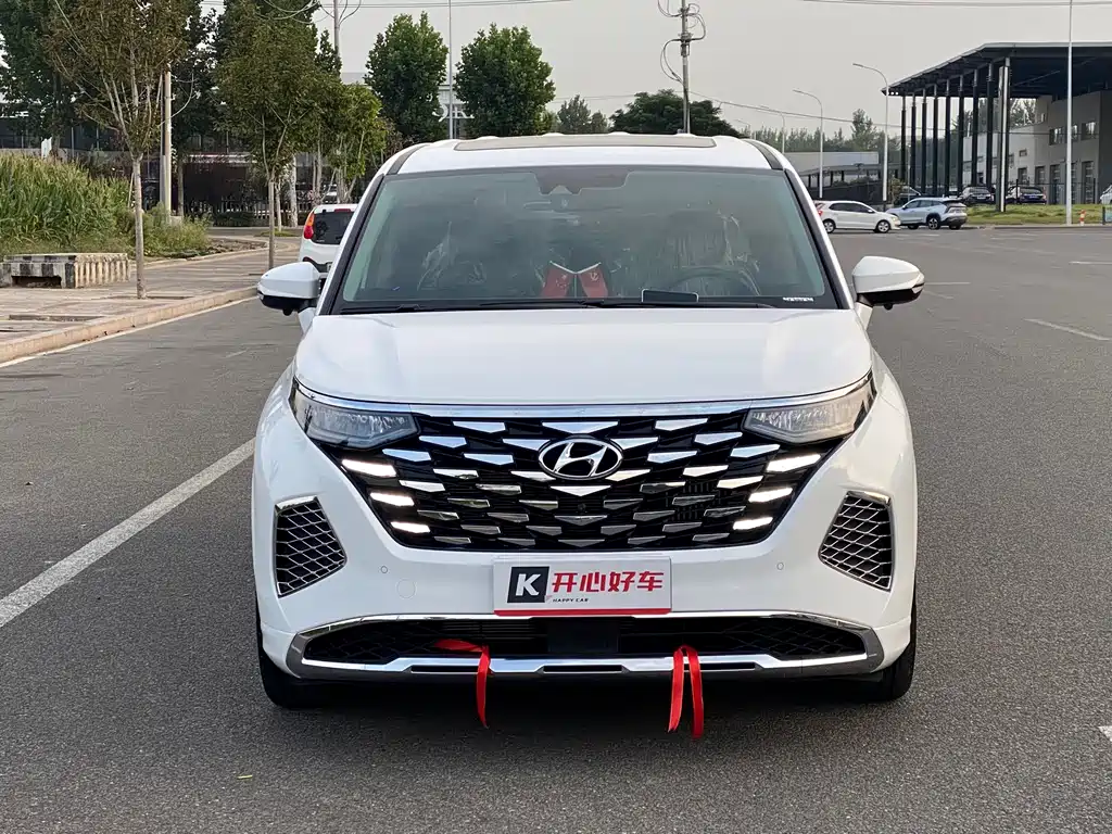 Hyundai Custo — миниатюра 2