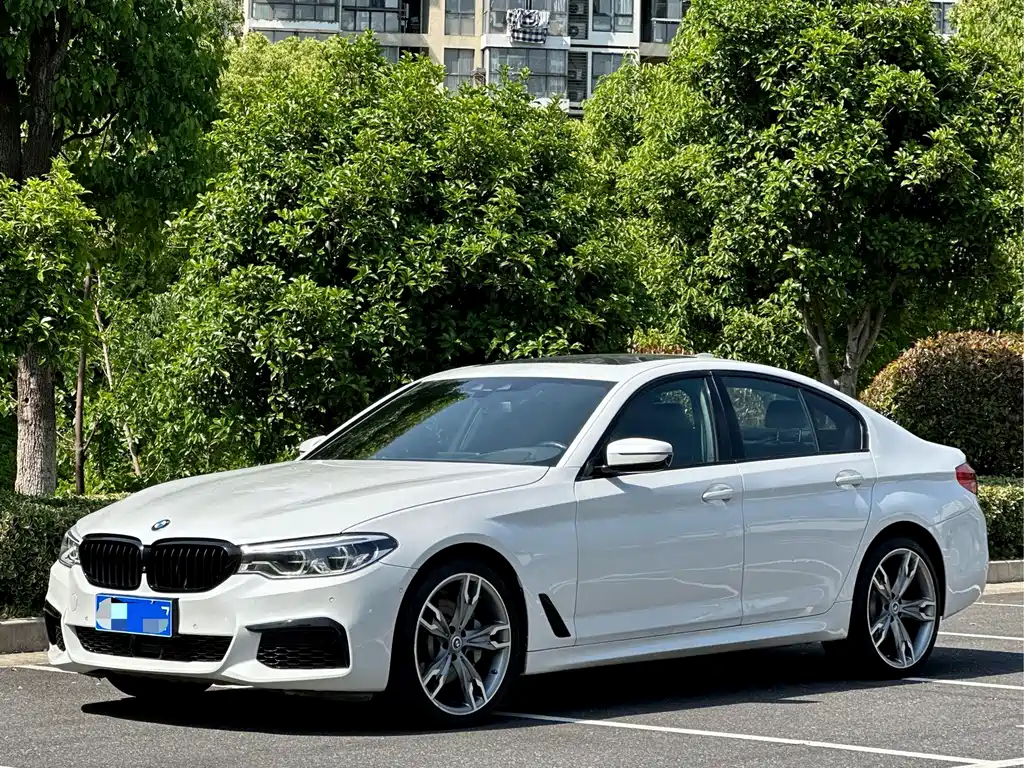 BMW 5 SERIES